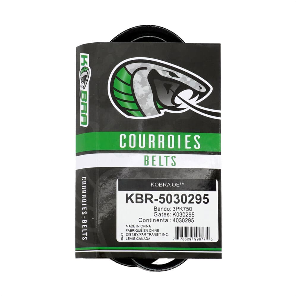 Kobra - KBR-5030295 - Water Pump Serpentine Belt image 1