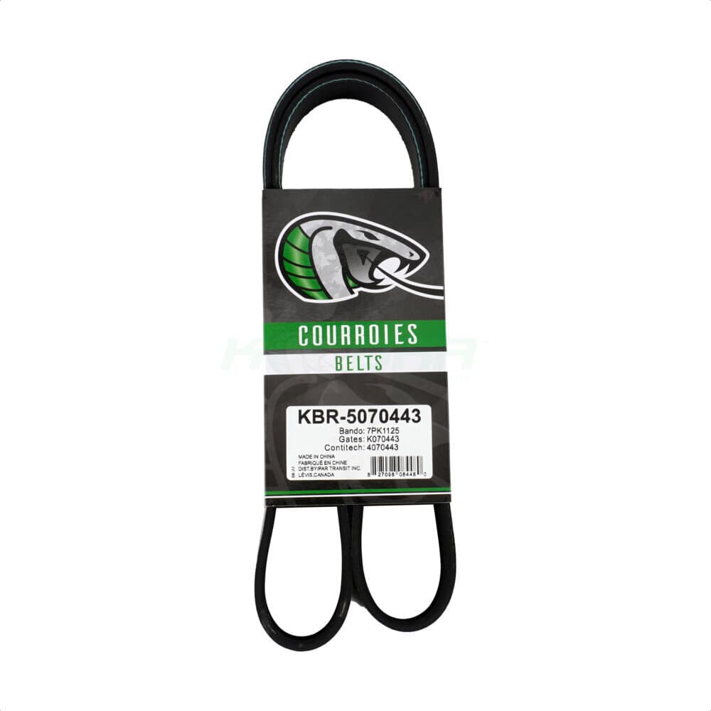 Kobra - KBR-5070443 - Main Drive Serpentine Belt image 1