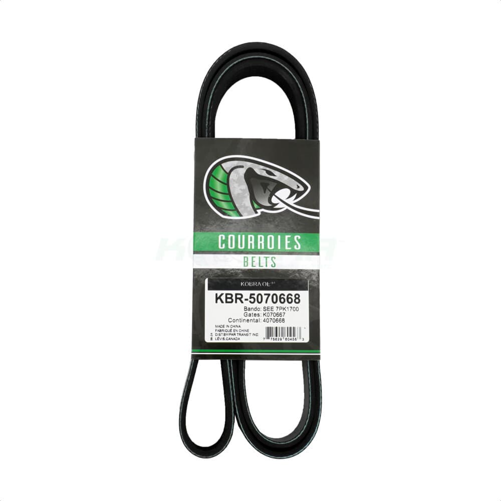 Kobra - KBR-5070668 - Main Drive Serpentine Belt image 1
