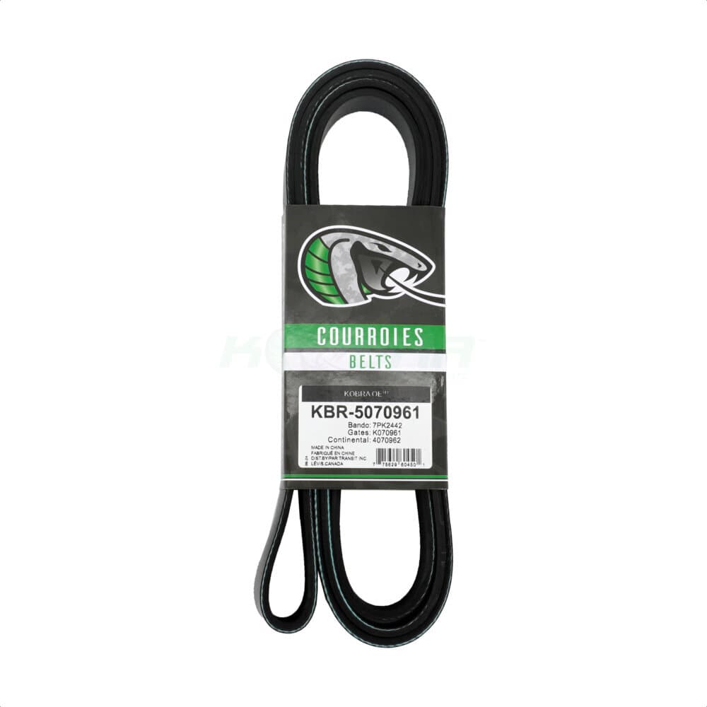 Kobra - KBR-5070961 - Main Drive Serpentine Belt image 1