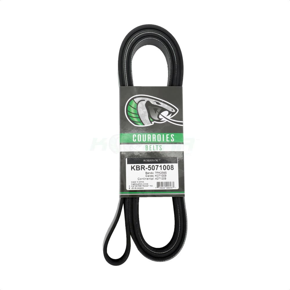 Kobra - KBR-5071008 - Main Drive Serpentine Belt image 1
