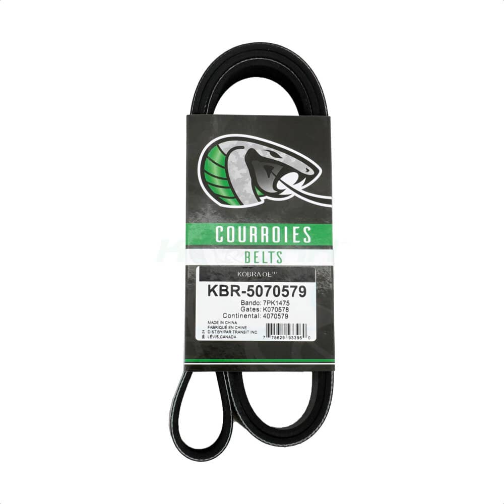 Kobra - KBR-5070579 - Main Drive Serpentine Belt